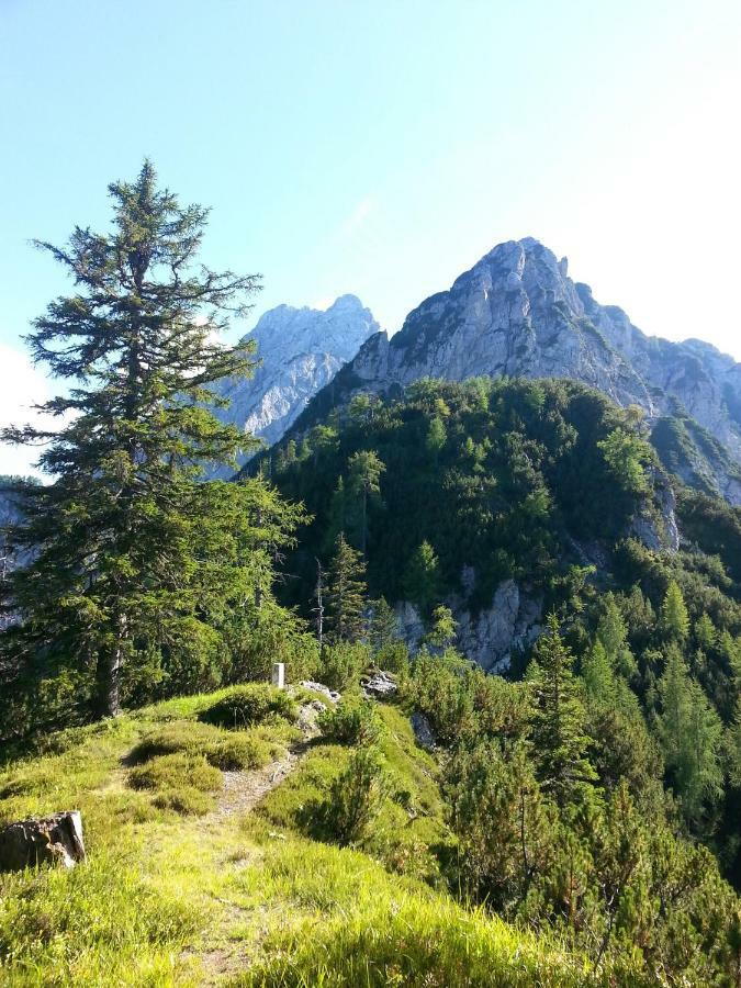 Apartma Lip Rateče Buitenkant foto