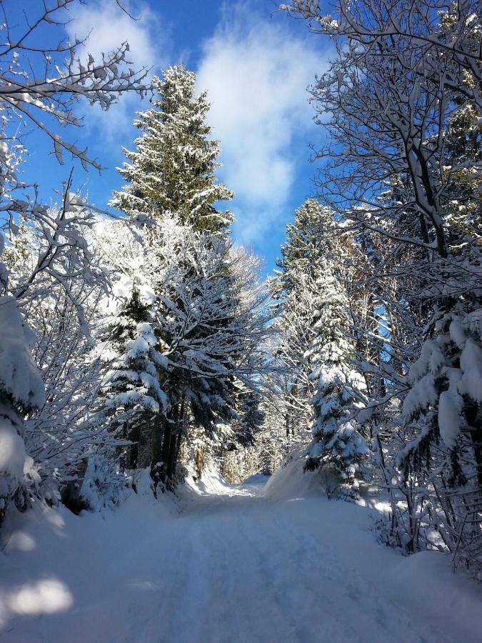 Apartma Lip Rateče Buitenkant foto