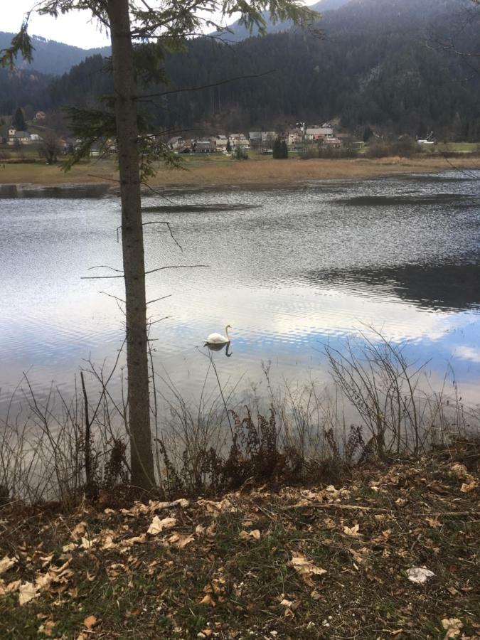 Apartma Lip Rateče Buitenkant foto